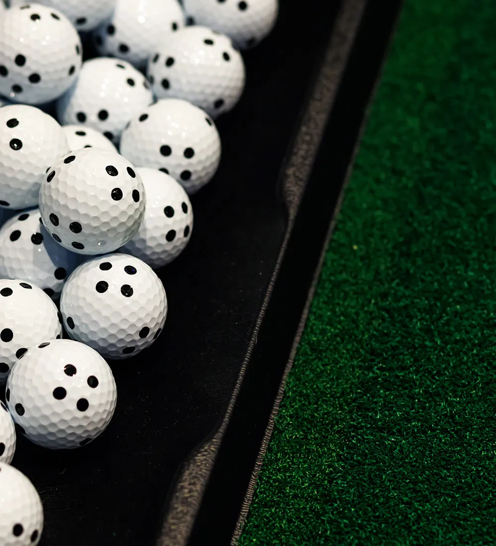 定額制で通い放題